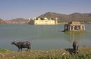 Palacio de agua Jal Mahal en Jaipur