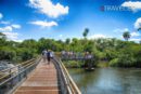 Pasarela - Cataratas del Iguazú