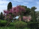 Jardines de Santa Clotilde (Lloret de Mar)