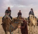 Dunas de Douz excursión en dromedario