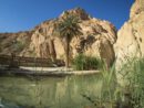 Oasis de montaña en Chebika