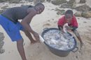 Niños pescando isla Magaruque