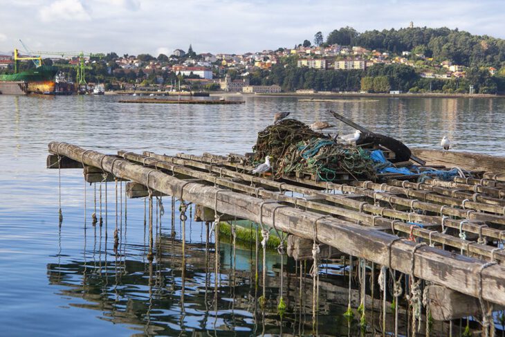 Bateas Ría Vigo