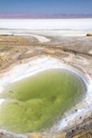 Lago salado en Chot el Jerid Tozeur