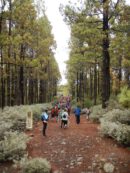 Gran Canaria Walking Festival