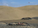 Dunas de Maspalomas