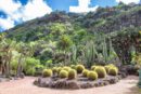 Gran Canaria - Jardín Botánico