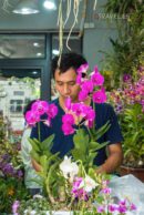 Hong Kong - Flower Market