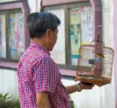 Hong Kong Bird Market