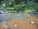 El agua que emana del interior de la tierra a 100º en Caldeira Velha