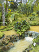 Jardines y piscinas termales en Terra Nostra