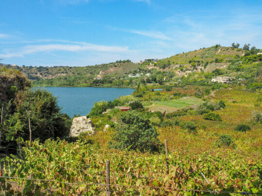 Viñedo histórico de Mirabello Lago del Averno