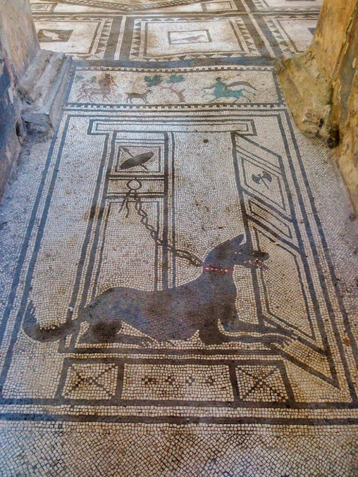 Mosaico Cave Canem en Pompeya