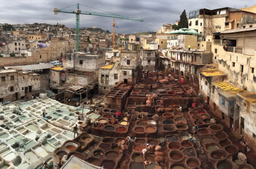  La medina de Fez y mucho más